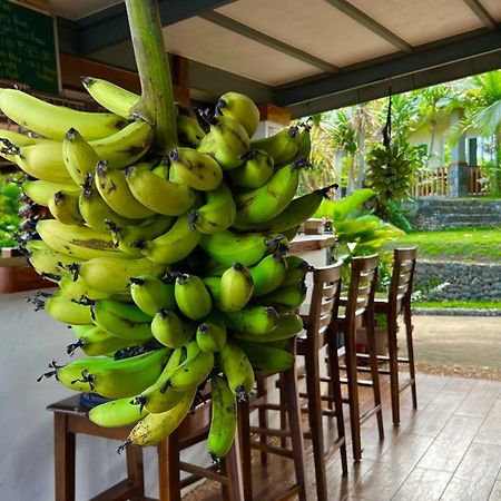 South Mountain Resort Siquijor Dış mekan fotoğraf