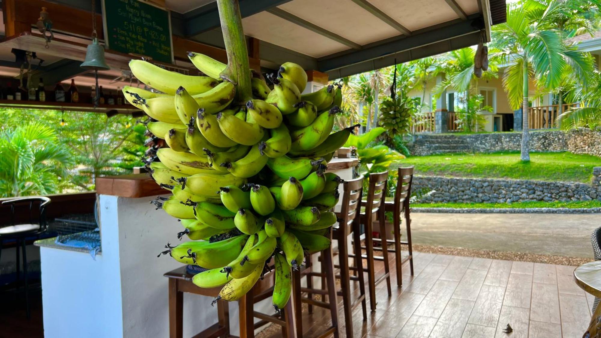 South Mountain Resort Siquijor Dış mekan fotoğraf